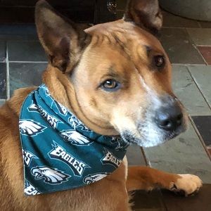 Meet your Posher, Denise